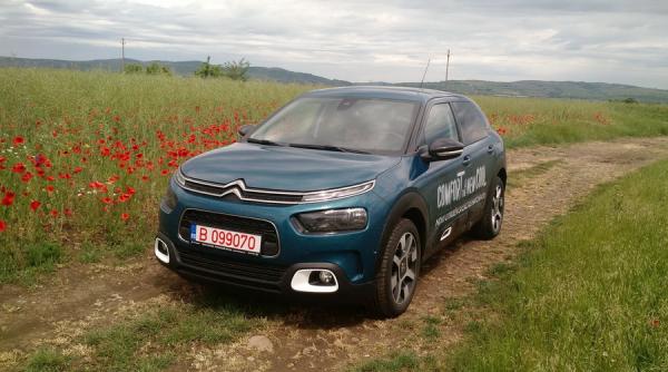 cat de confortabil e un cactus