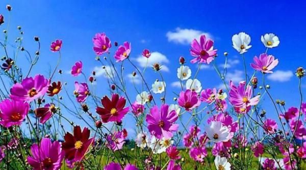 prognoza meteo pentru 25 26 27 si 28 mai cer noros