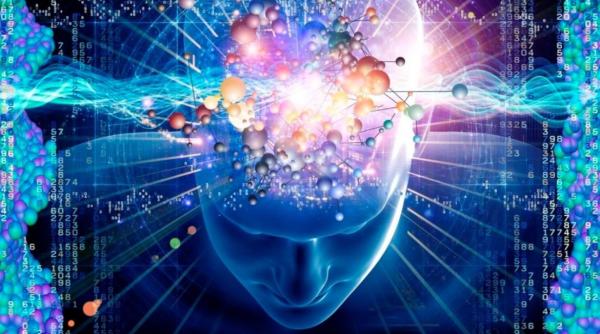 inteligenta artificiala o metoda de lupta impotriva modificarilor climatice afirma ceo ul unei companii high tech