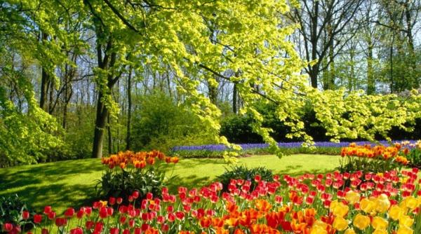 prognoza meteo pentru 30 31 1 si 2 iunie cer senin