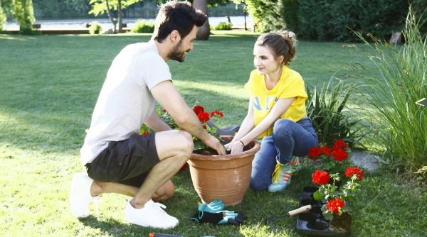 fructul oprit episodul 20 relatia dintre alex si sonia descoperita cum puteti tu nu esti maritata