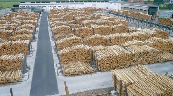 patru directori ai schweighofer holzindustrie pusi sub urmarire penala de diicot