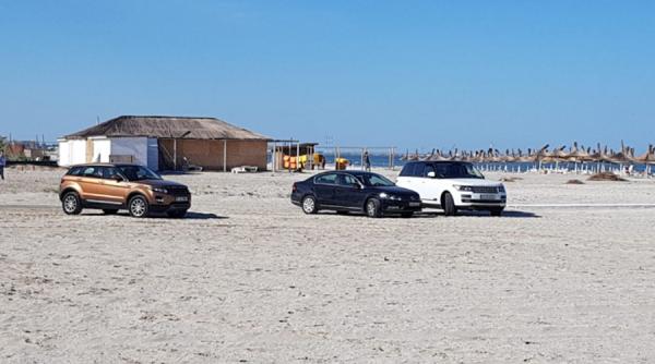 bizonii pardon bolizii au intrat pe plaja din mamaia