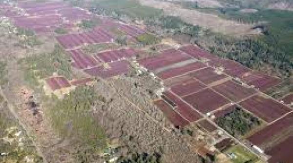 franta spania portugalia irlanda finlanda si grecia nemultumite de reducerea platilor directe catre fermieri