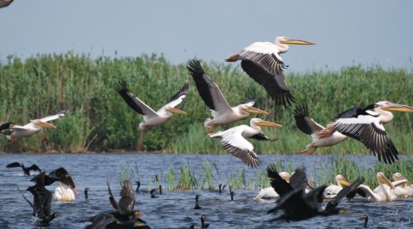 pe harta turistica europeana romania nu se vede