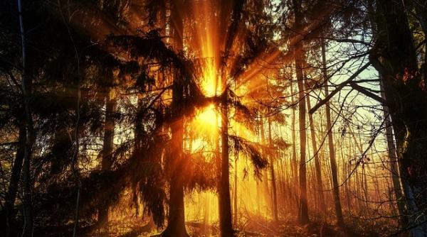 mihai voropchievici prognoza meteo din batrani