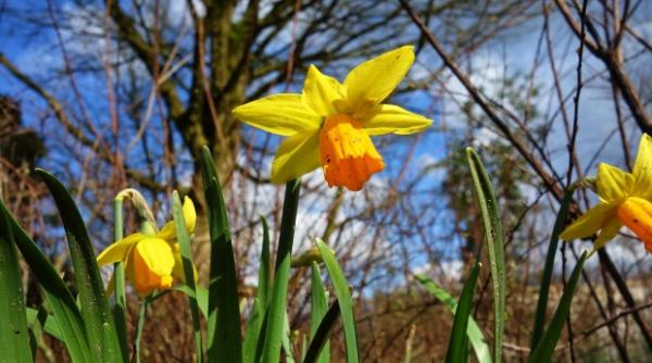 vesti bune de la anm temperaturi normale pentru luna iunie in urmatoarele doua saptamani
