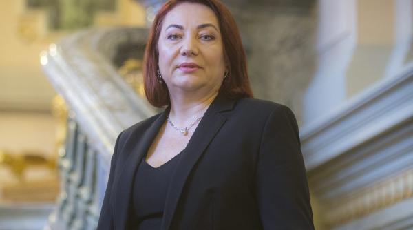 alina din electrica investeste in sarmale finlandeze