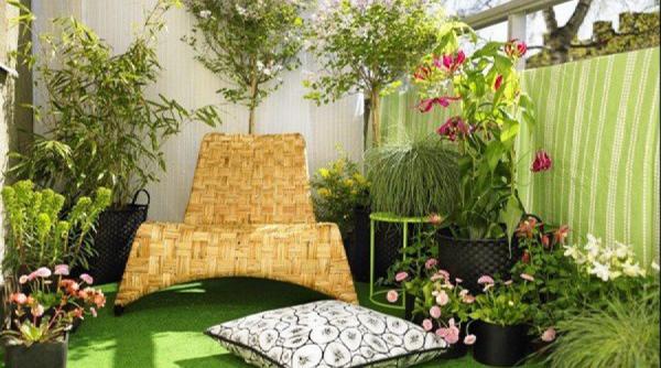 cum sa ti decorezi mica gradina de pe balcon