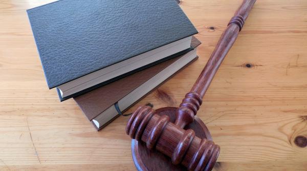 sesizarile referitoare la comisiile speciale pe codul administrativ si cea pe legile securitatii nationale admise partial