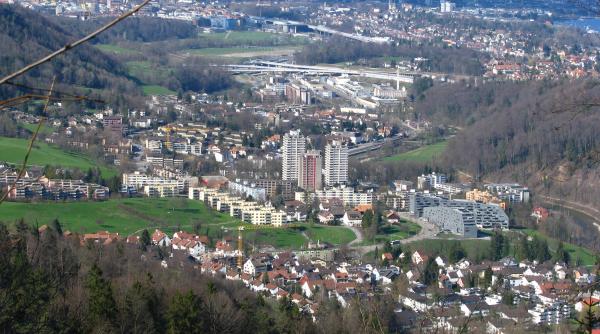 elvetia referendum asupra reformarii sistemului monetar