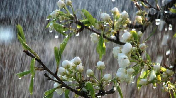 prognoza meteo pentru 11 12 13 si 14 iunie ploi slabe