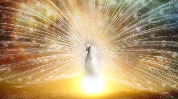 ce sunt stelele zburatoare in feng shui de care trebuie sa ne ferim