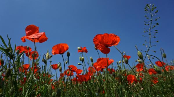 prognoza meteo pentru 14 15 16 si 17 iunie vreme instabila