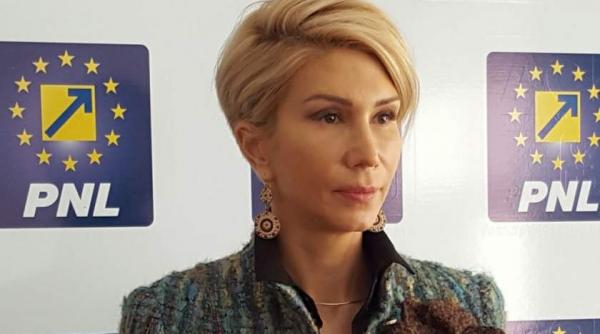 turcan conducerea psd ar trebui sa ceara demisia celor care au conceput atacul la adresa simonei halep