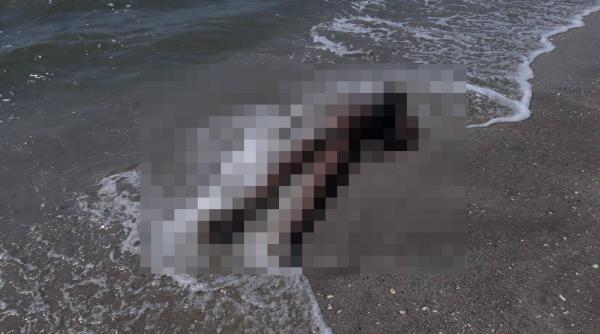 un barbat si un copil gasiti inecati pe plaja vadu