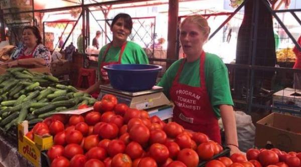 au inceput platile catre beneficiarii programului de sprijin pentru tomate