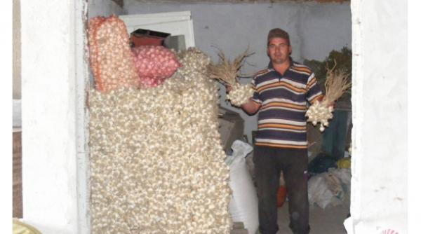 ramnicelu satul in care toti localnicii sunt evazionisti