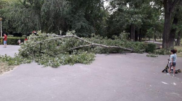 la un pas de tragedie intr un parc din constanta