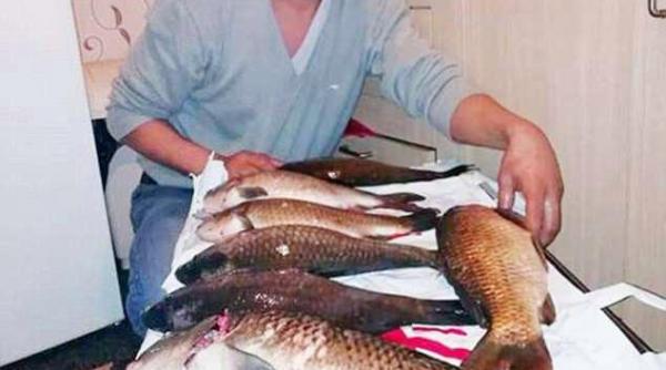 un grup de romani fura crapi din iazuri si se lauda cu ei pe facebook inainte de a i manca