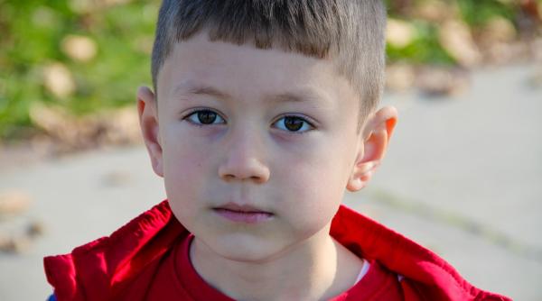 explicatiile psihoterapeutului 15 reguli de baza pentru sanatatea emotionala a copiilor nostri