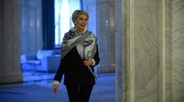 pnl va contesta la curtea constitutionala proiectul de lege privind modificarea codului de procedura penala