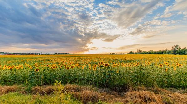 prognoza meteo pentru 19 20 21 si 22 iunie vreme calduroasa