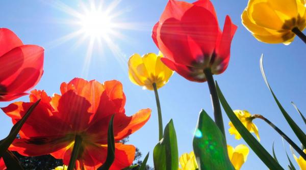 prognoza meteo pentru 20 21 22 si 23 iunie vreme frumoasa