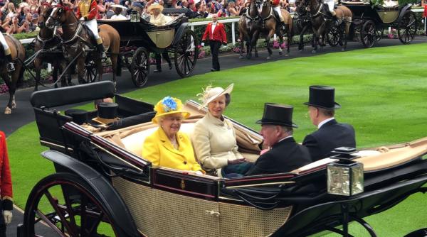 casele de pariuri inregistreaza pierderi considerabile dupa ce pariorii au ghicit culoarea palariei reginei