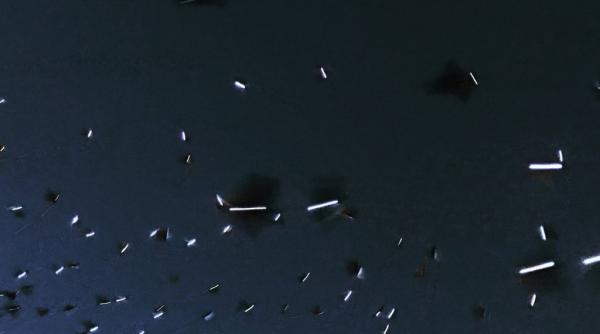 peste 1 500 de porumbei dotati cu becuri led au luminat cerul londonez in cadrul unui festival de arta