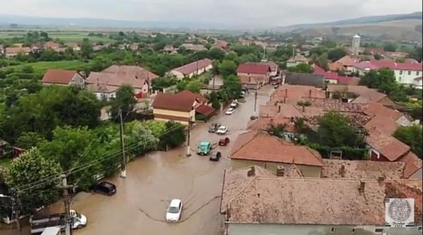 viiturile au facut dezastru in alba