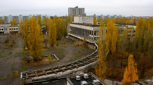 cainii din cernobil se pregatesc sa traiasca visul american