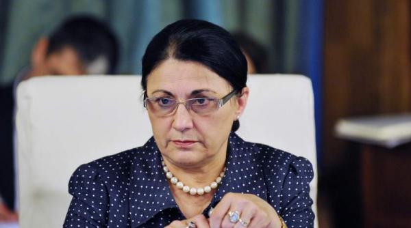ecaterina andronescu despre codurile penale parlamentul trebuie sa decida pe un subiect sensibil