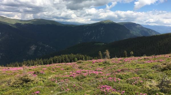 prognoza anm vreme racoroasa in ultima saptamana din iunie