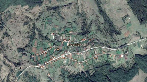 copii rataciti intr o padure aradeana au fost gasiti