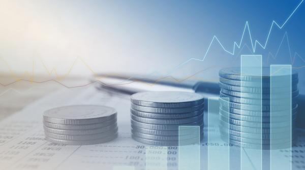 shopping ul primarilor a evaporat 69 din taxele si impozitele locale