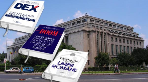 guvernul se aprovizioneaza cu manuale de gramatica si dictionare ale limbii romane