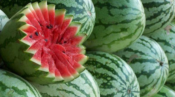 lovitura pentru producatorii pepenilor de dabuleni kilogramul se vinde cu doar 30 de bani