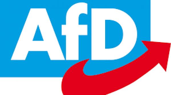 o reuniune a partidului de extrema dreapta afd intrerupta de protestatari cu ajutorul unui tun cu confetti