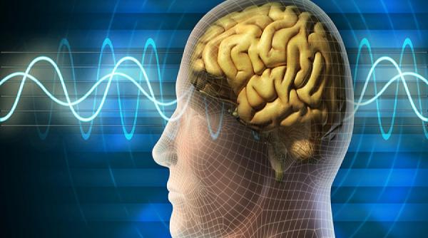 undele cerebrale si calatoria gandurilor noastre