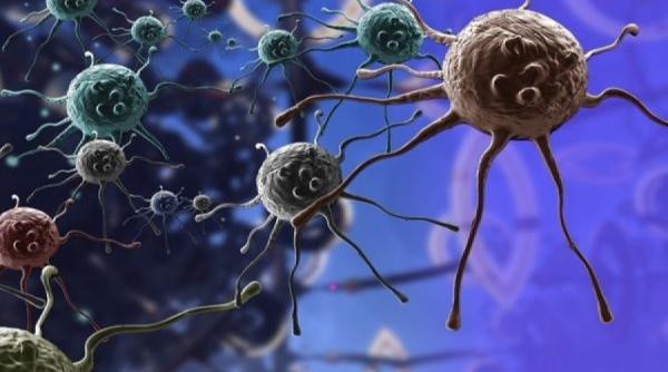 cancerul de san tratat cu succes cu terapie imunitara