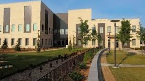 ambasada sua facem apel la romania sa mentina si sa sprijine puternicele sale institutii de lupta impotriva coruptiei