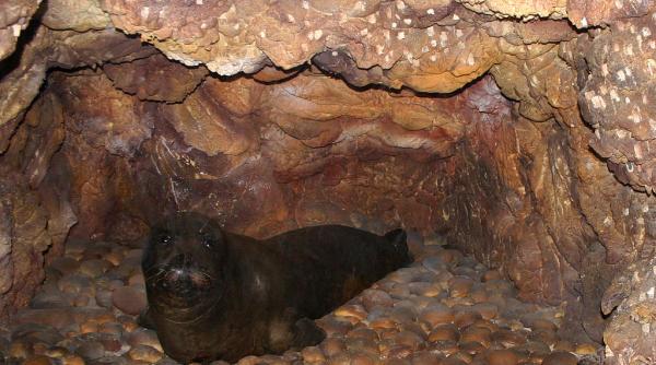 cipru foci vile de lux si scandal