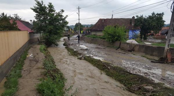 mures zece gospodarii inundate la reghin in urma ploilor abundente