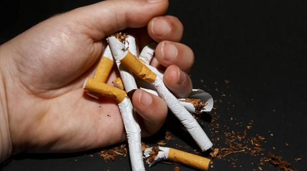 stiinta a gasit paratrasnetul pentru toate relele lumii