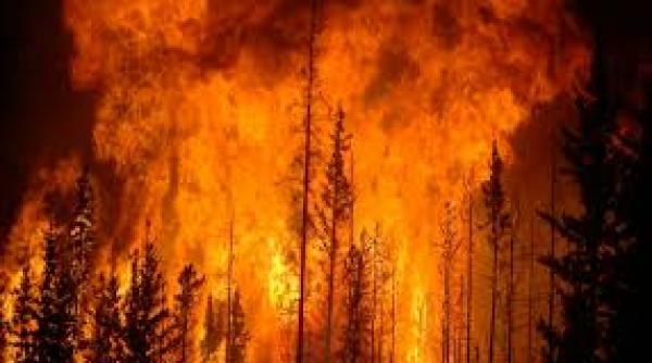 mii de persoane din suedia fortate sa isi paraseasca locuintele din cauza incendiilor forestiere