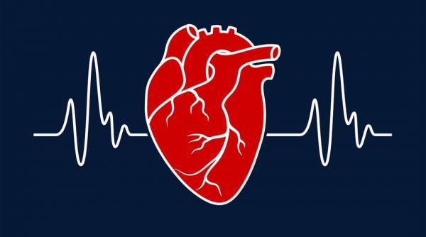 afectiunile cardiovasculare arteriopatia periferica o problema serioasa de sanatate publica cum se trateaza