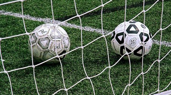 frf a anuntat componenta ligii a ii a pentru sezonul 2018 2019