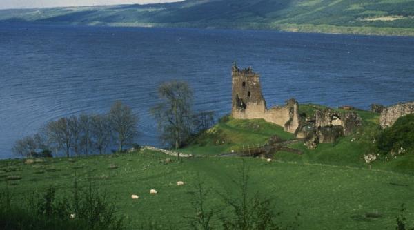 video monstrul dintr un lac din china
