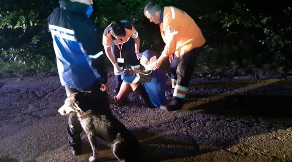 cainele care a salvat un ranit pe munte a fost adoptat